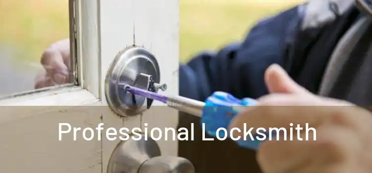  Professional Locksmith 